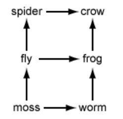 Plss I need help fastt

8. A food web is shown below. a) Describe and explain two likely effects o