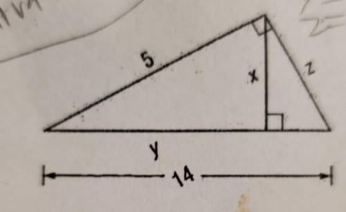 Please help i dont understand this question last question for this pagex=y=z=
