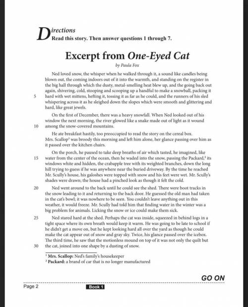 What is a theme developed in lines 55 and 56 of “Excerpt for One Eyed Cat?” Use two details from th