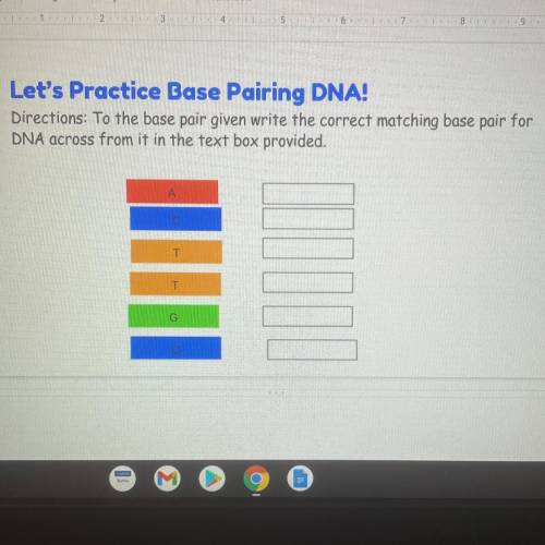 To the base pair given write the correct matching base pair for

DNA across from it in the text bo