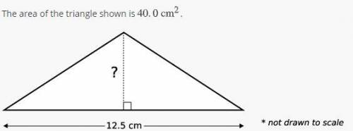 What is the height of the triangle?
Choices : 
3.20 cm
6.40 cm
13.8 cm
27.5 cm