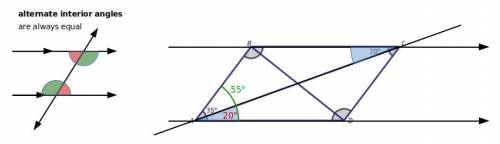 1. Angle BAC = 35° and angle BCA = 20°. What is the measure of angle BAD?

2. What is the measure o