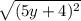 \sqrt{(5y+4)^2}