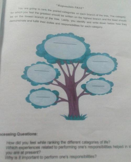 You are going to rank the posted on each branch of the tree.The category of which you feel the grea