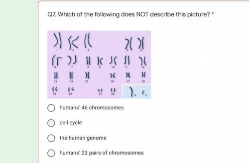 Help whats the answer this is for science