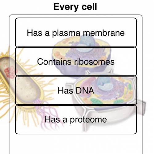 Are all cells composed of those things?