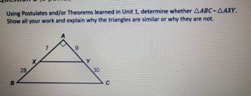 Using Postulates and/or Theorems learned in Unit 1, determine whether ∆ABC~∆AXY. Show all your work