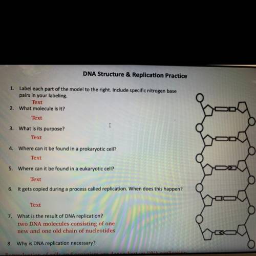 Need help with the first few questions will give Brainliest and 50 points