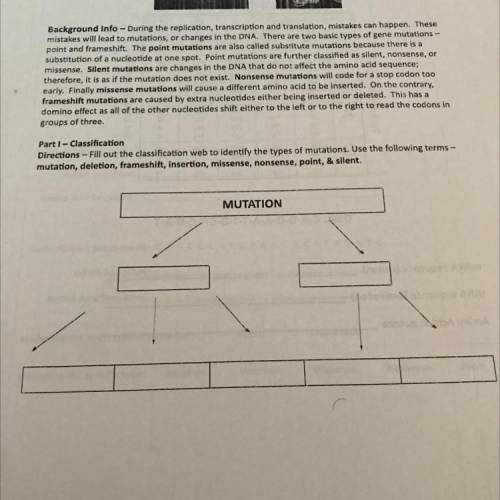 Part 1 - Classification

Directions - Fill out the classification web to identify the types of mut