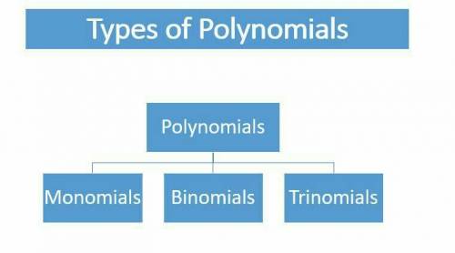 Name the types of polynomial expressions
