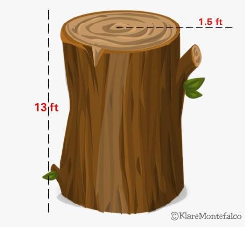 What prism or other 3-dimensional shape would you use to model the tree trunk below? (Rectangular pr