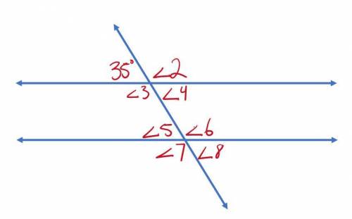 What are the angles for angles 2 through 8?
Please help (NO BOTS)