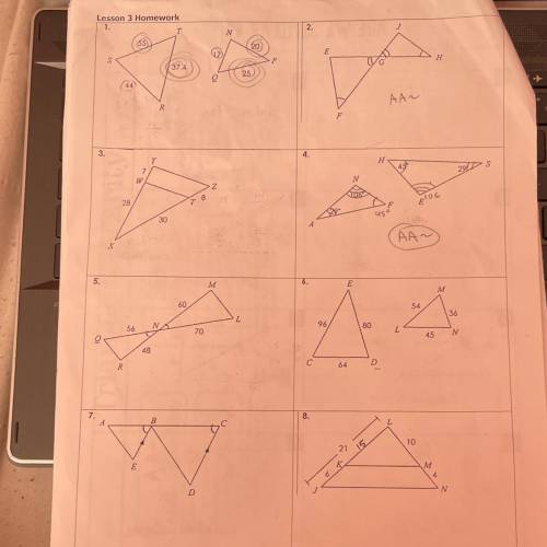 Triangle similarity lesson 3 homework
