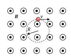 A charged particle of mass m is exposed to a constant magnetic field of magnitude B and directed ou