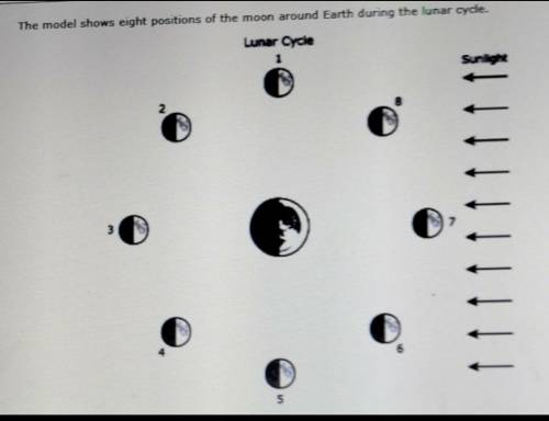 HELP ME OUT PLS

In which positions would a first quarter mooni and last quarter moon appear t