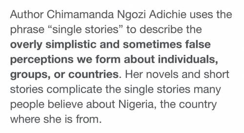 What does adichie mean by a single story?