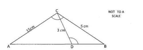 Find the length of AB with explanation. Please help me friends ?