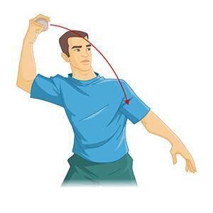 The thrower's arm is moving in which anatomical directions in the picture above? (2 points)

Proxi