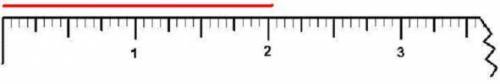 Find the length of the line below.
A. 2 in.
B. 2 3/16 in.
C. 2 5/16 in.
D. 3 in.