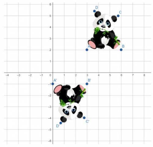 Which two sequential transformations would produce the image of the panda shown in the graph? Refer