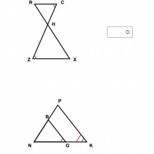 The following triangles are similar. True or False.