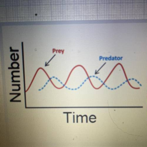 In this graph, the prey

and predator populations
periodically increase and
decrease. This is an
e