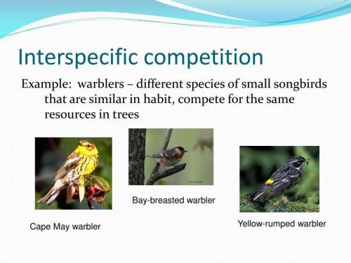 Please help

This image illustrates how different species of warblers are able to survive using dif